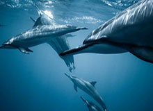 hth sports-欧足联公布年度最佳阵容候选 你吐槽的机会又来了